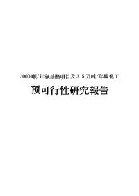 年产3000吨氨基酸项目和3.5万吨年磷化工产品项目可行性研究报告