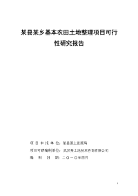 某县某乡基本农田土地整理项目可行性研究报告