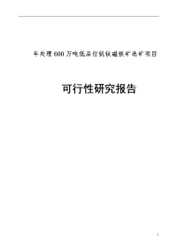 年处理600万吨低品位钒钛磁铁矿选矿项目可行性研究报告