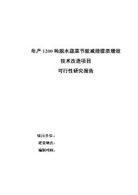 年产1200吨脱水蔬菜节能减排提质增效技术改造项目可行性研究报告