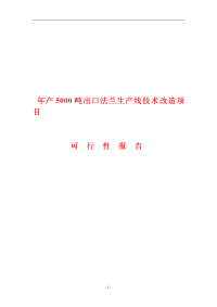 年产5000吨出口法兰生产线技术改造项目可行性研究报告