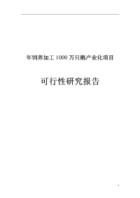 年饲养加工1000万只鹅产业化项目可行性研究报告