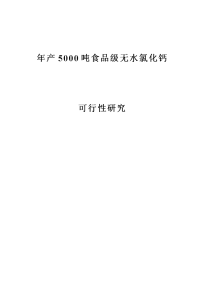 年产5000吨食品级无水氯化钙可行性研究报告