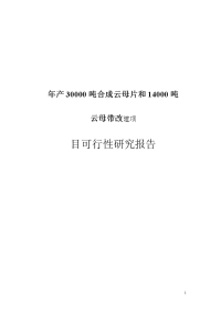 年产30000吨合成云母片和14000吨云母带改建项可行性研究报告