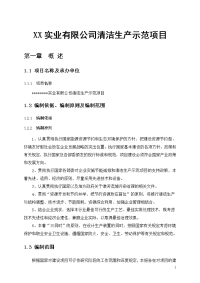 XX实业有限公司清洁生产示范项目可行性研究报告