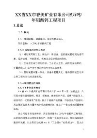 XX省XX市睿美矿业有限公司5万吨年铝酸钙工程项目可行性研究报告