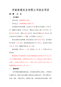 河南敦煌实业有限公司创业项目可行性研究报告