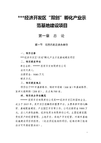 经济开发区“双创”孵化产业示范基地建设项目可行性研究报告