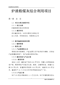 炉渣粉煤灰综合利用项目可行性研究报告