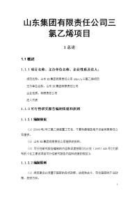 山东集团有限责任公司三氯乙烯项目可行性研究报告