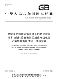 GBT18380.31-2008电缆和光缆在火焰条件下的燃烧试验第31部分垂直安装的成束电线电缆火焰垂直蔓延试验试验装置.pdf