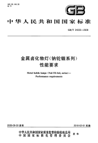 GBT24333-2009金属卤化物灯（钠铊铟系列）性能要求.pdf