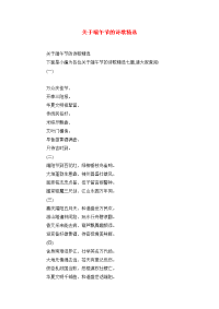 关于端午节的诗歌精选.doc