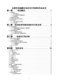 合肥市滨湖新区项目可行性研究毕业论文.doc