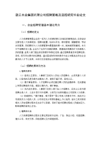 新云木业集团有限公司招聘策略及流程研究毕业论文.doc