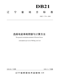 DB21 1739-2009 选煤电能单耗限额与计算方法.pdf