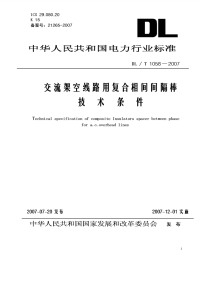 DLT1058-2007交流架空线路用复合相间间隔棒技术条件.pdf