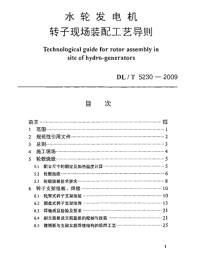 DLT5230-2009水轮发电机转子现场装配工艺导则.pdf