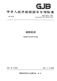 GJB2028A-2007磁粉检测.pdf