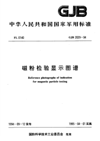 GJB2029-1994磁粉检验显示图谱.pdf