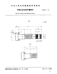 GJB381.6-1987平圆头抗拉型环槽铆钉.pdf