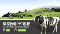 畜牧养殖业宣传PPT模板.pptx