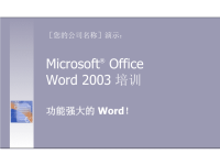 简洁的Word2003培训PPT模板.ppt