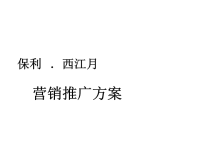 2008年广州市保利西江月项目营销推广方案