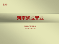 2010年林州山水甲秀·世熙12月份总体推广方案