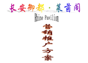 2010年临湘市长安御都·莱茵阁营销推广方案