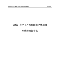 硫酸厂年产6万吨硫酸生产线项目环境影响报告书