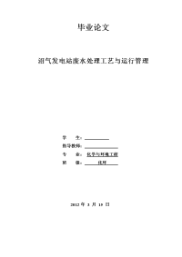 沼气发电站废水处理工艺与运行管理  毕业论文