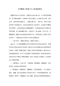 公司财务工作者个人工作总结范文