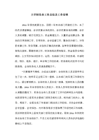 大学财务处工作总结及工作设想