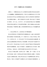 大学二年级班主任工作总结范文