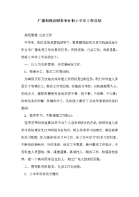 广播电视局财务审计科上半年工作总结