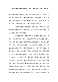 市场管理服务中心上半年工作总结及下半年工作打算