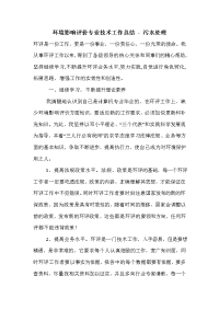 环境影响评价专业技术工作总结