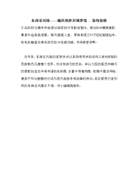东南亚风情——编织绝妙异域梦境 - 装饰装修