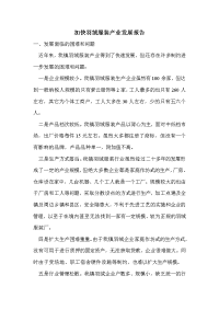 加快羽绒服装产业发展报告