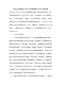 县中小企业局上半年工作总结和下半年工作打算