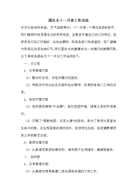 团总支十一月份工作总结