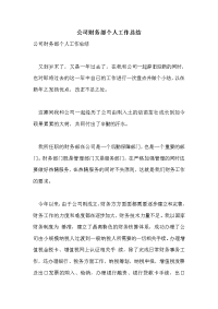 公司财务部个人工作总结