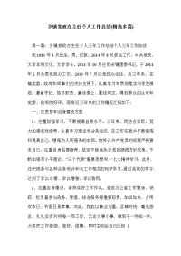 乡镇党政办主任个人工作总结(精选多篇)