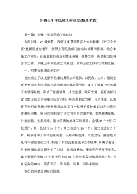 乡镇上半年民政工作总结(精选多篇)