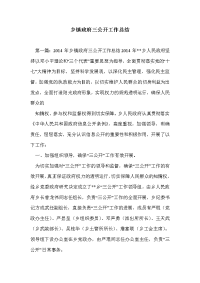 乡镇政府三公开工作总结