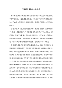 任现职专业技术工作总结