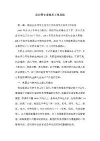 会计师专业技术工作总结