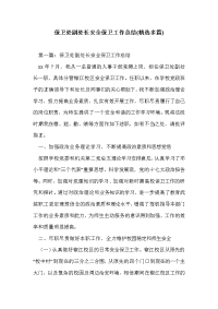 保卫处副处长安全保卫工作总结(精选多篇)