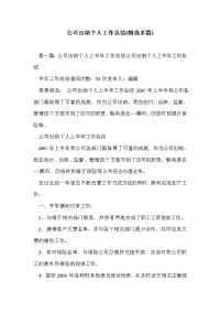 公司出纳个人工作总结(精选多篇)